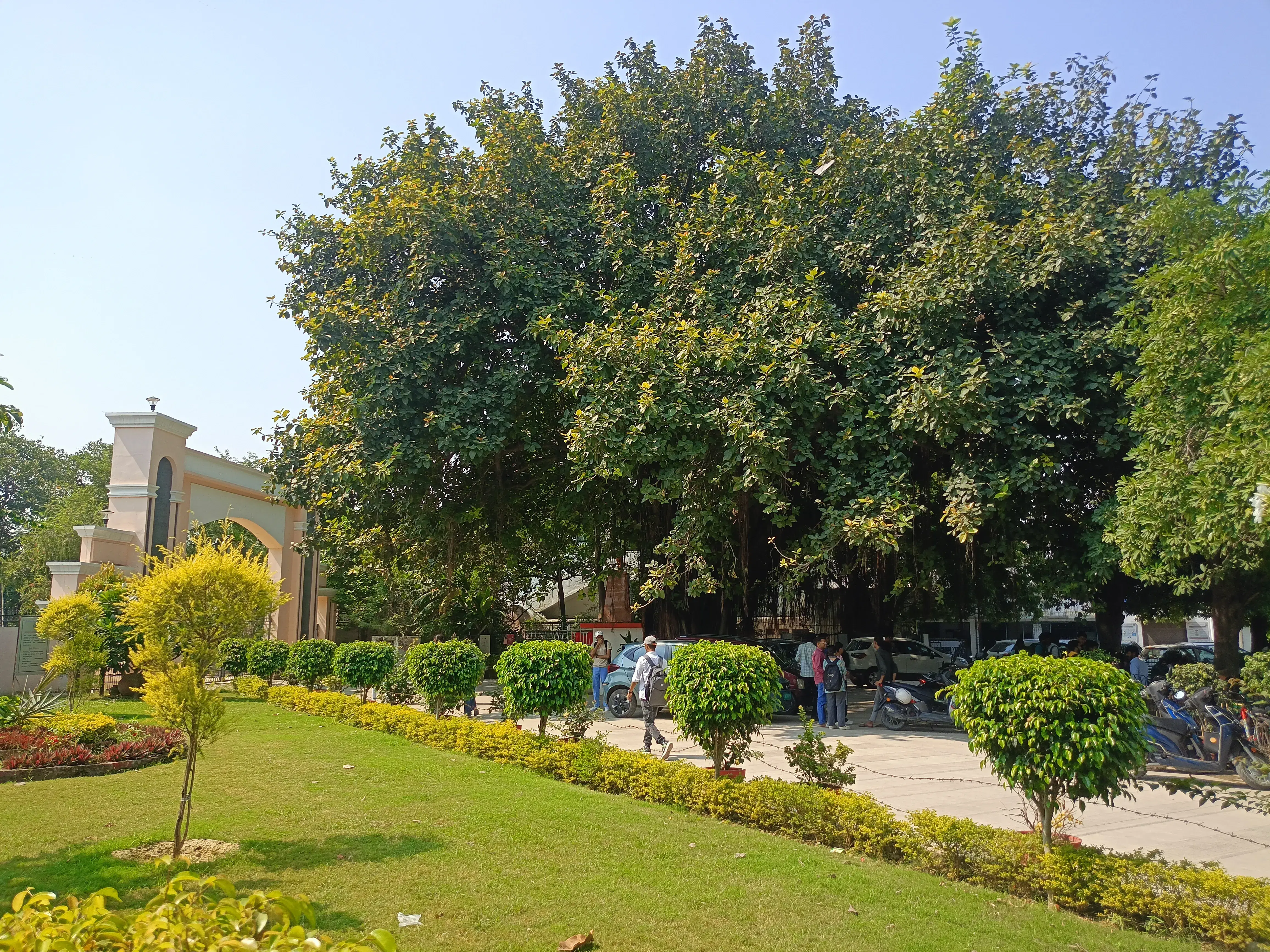 Chowdhary Mahadev Prasad Degree College Allahabad CAMPUS photo 11